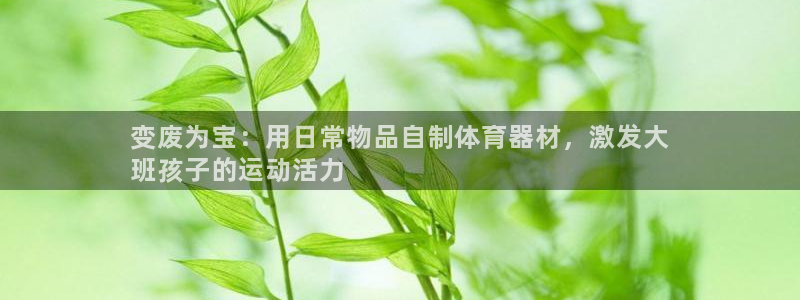 极悦娱乐会被骗吗知乎文章：变废为宝：用日常物品自制体