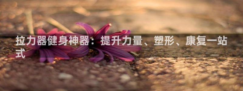 极悦平台注册用户名验证：拉力器健身神器：提升力量、塑