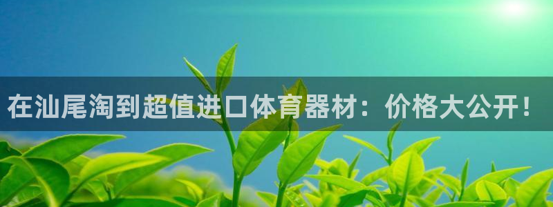 极悦娱乐的背景和历史背景：在汕尾淘到超值进口体育器材