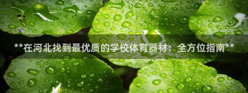 极悦平台官网登录不了怎么回事：**在河北找到最优质的