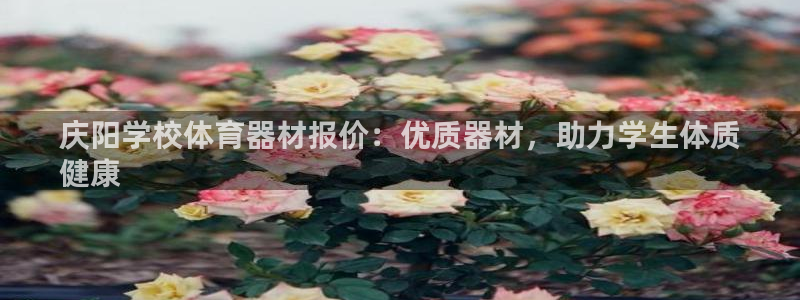 极悦平台注册流程详解图：庆阳学校体育器材报价：优质器