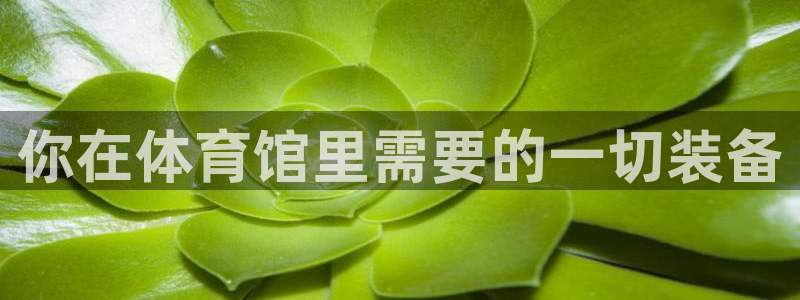 极悦平台注册和登录页面不一样：你在体育馆里需要的一切