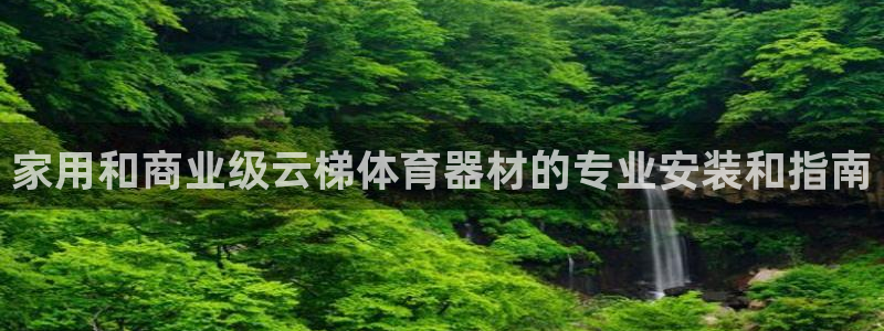 极悦娱乐股东