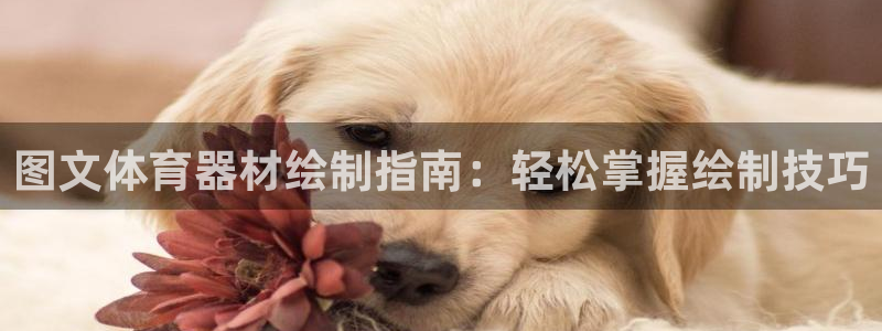 极悦官方网站app下载安卓：图文体育器材绘制指南：轻