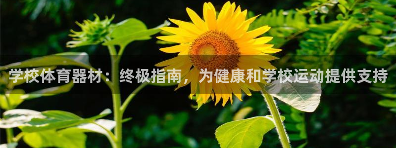极悦娱乐官网客服联系方式查询：学校体育器材：终极指南