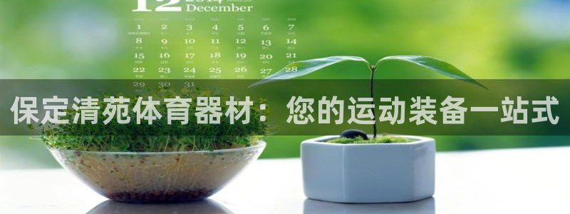 极悦益生菌猫粮怎么样：保定清苑体育器材：您的运动装备