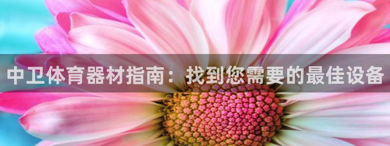 极悦官网首页登录入口网址