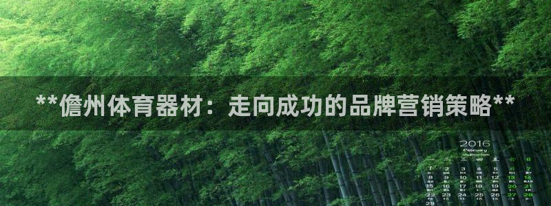 极悦平台代理怎么做