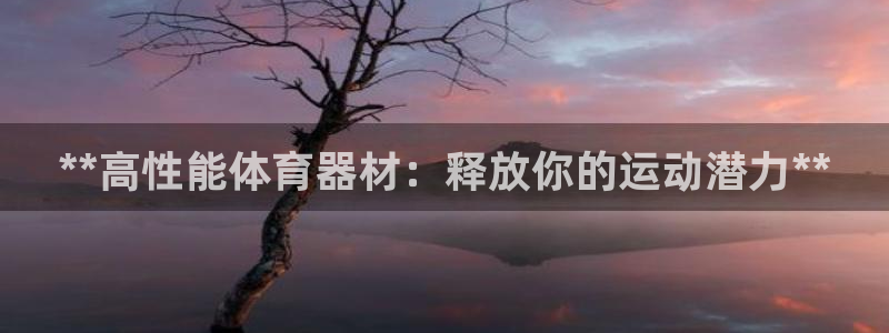 极悦平台创始人背景故事：**高性能体育器材：释放你的