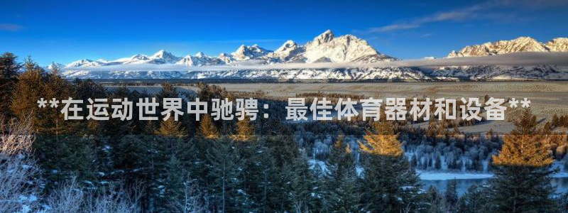 极悦平台注册登录入口在哪：**在运动世界中驰骋：最佳