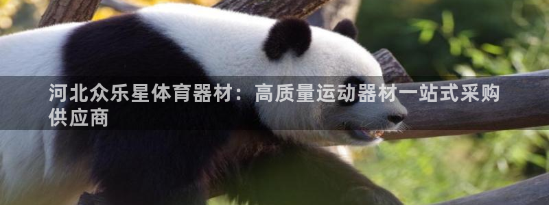 极悦平台官网登录不了：河北众乐星体育器材：高质量运动