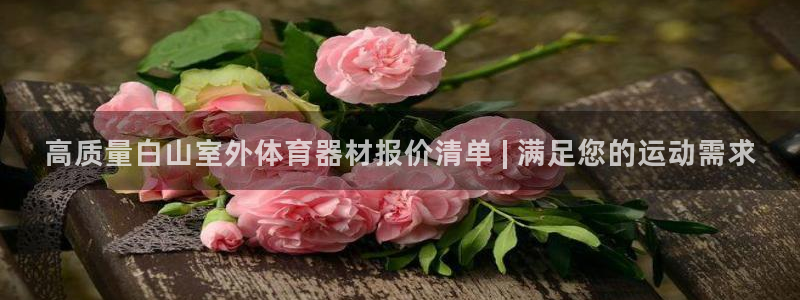 极悦平台官网登录不了了：高质量白山室外体育器材报价清