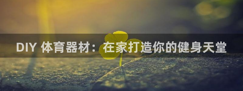 极悦平台客服团队介绍：DIY 体育器材：在家打造你的