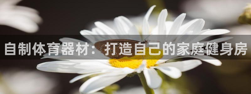 极悦官网入口登录