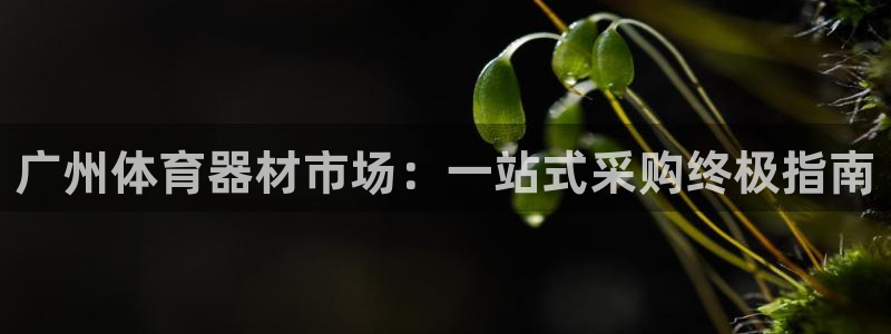 极悦娱乐官网app下载安装：广州体育器材市场：一站式