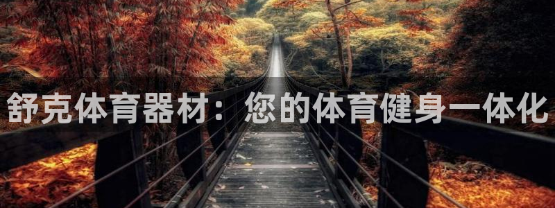 极悦平台官网登录最新版本更新内容介绍：舒克体育器材：
