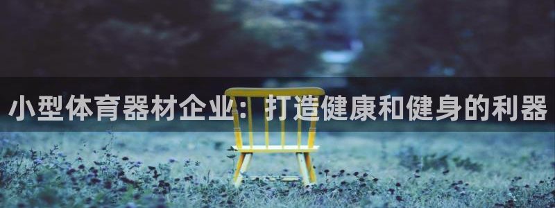极悦平台注册资金多少钱：小型体育器材企业：打造健康和
