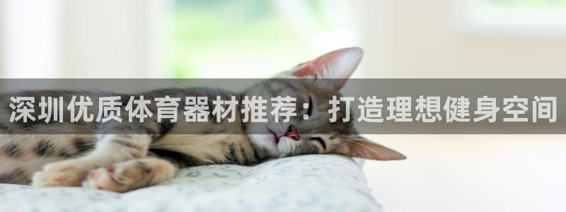 极悦是什么牌子空调的：深圳优质体育器材推荐：打造理想