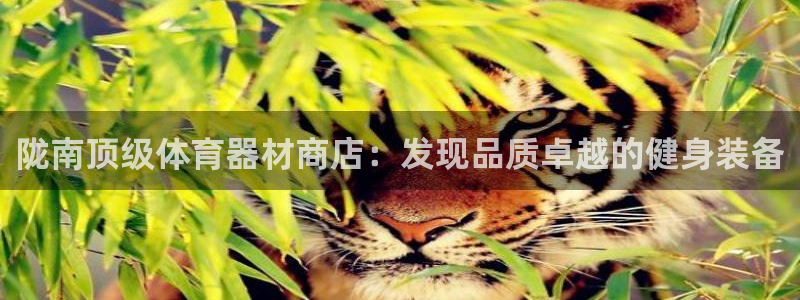 极悦平台客服团队介绍：陇南顶级体育器材商店：发现品质