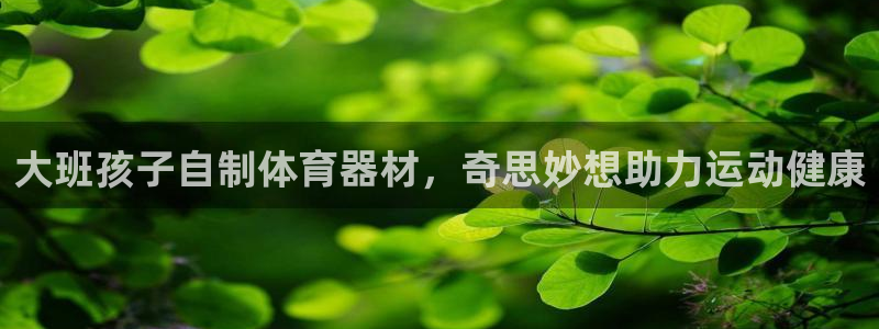 极悦平台注册失败如何解决问题：大班孩子自制体育器材，