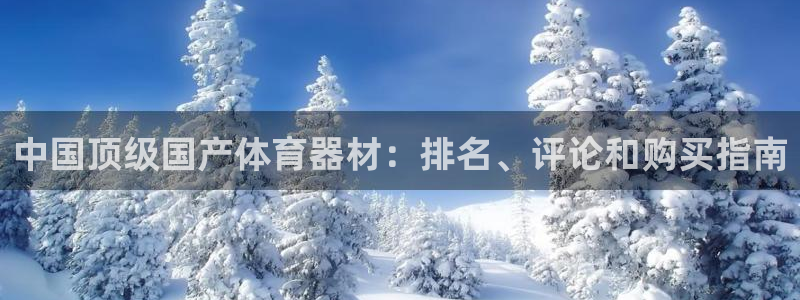 极悦平台和蓝狮平台区别在哪