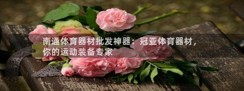 极悦官方网站app下载安卓