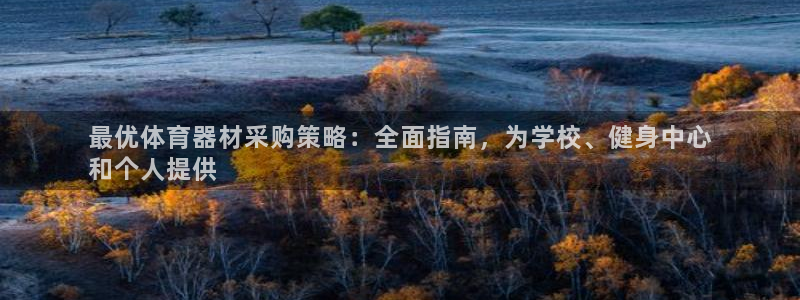 极悦平台是干什么的：最优体育器材采购策略：全面指南，