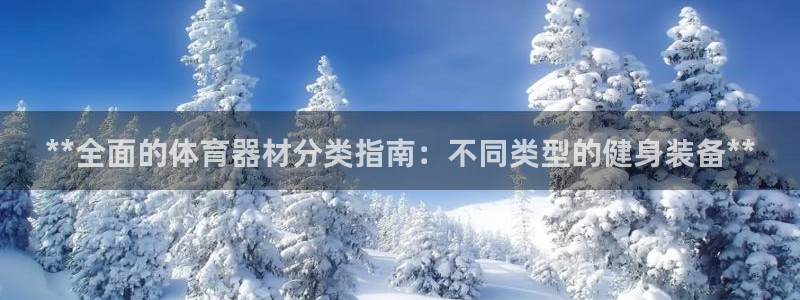 极悦平台官方网站是什么：**全面的体育器材分类指南：