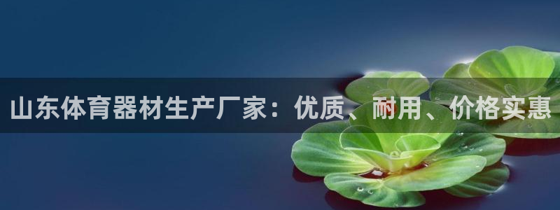 极悦官网首页