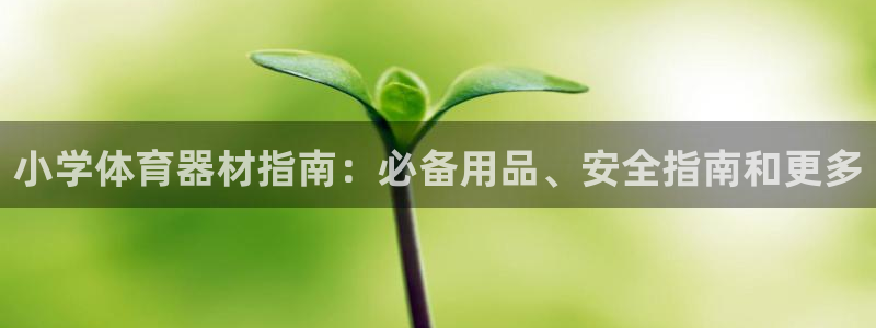 极悦平台与网易合作详情：小学体育器材指南：必备用品、