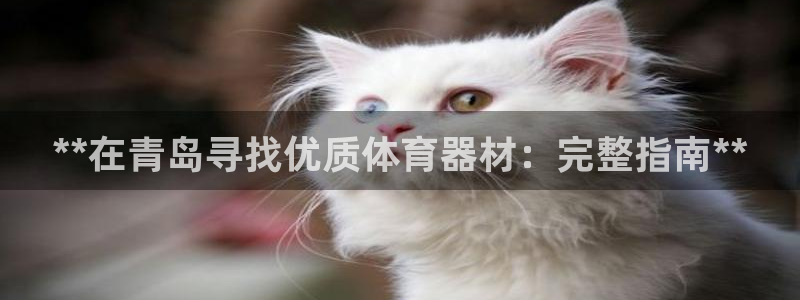 极悦平台官网登录入口下载：**在青岛寻找优质体育器材