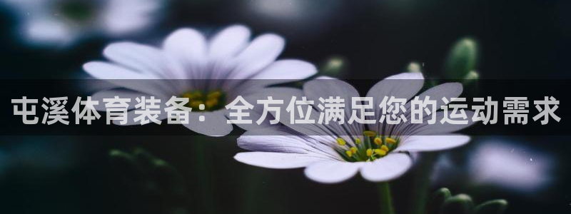 极悦平台用户评价在哪里看：屯溪体育装备：全方位满足您