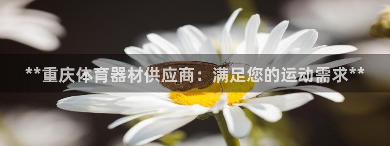 极悦官网的登录方法是什么：**重庆体育器材供应商：满
