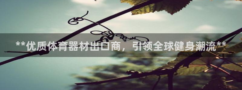 极悦娱乐是资金盘吗：**优质体育器材出口商，引领全球