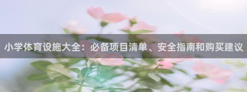 极悦平台注册用户名生成器是什么：小学体育设施大全：必