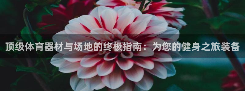 极悦娱乐公司最新招聘信息网：顶级体育器材与场地的终极