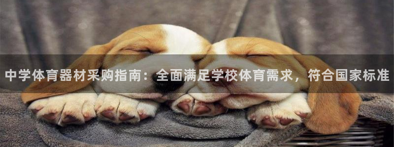 极悦平台是正规平台吗知乎：中学体育器材采购指南：全面