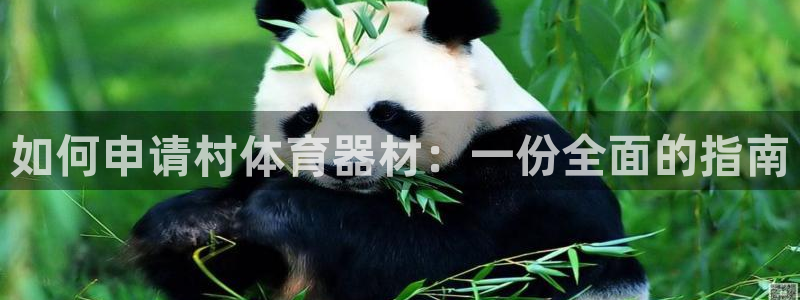 极悦官网旗舰店电话：如何申请村体育器材：一份全面的指