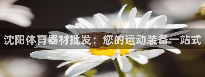 舒客极悦牙膏：沈阳体育器材批发：您的运动装备一站式