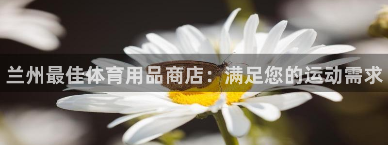 极悦官方网站入口网址大全：兰州最佳体育用品商店：满足