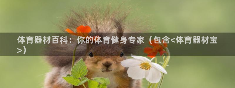 极悦娱乐挂机赚钱是真的吗安全吗：体育器材百科：你的体