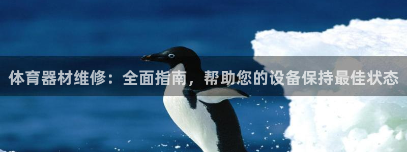 极悦平台官方网站登录：体育器材维修：全面指南，帮助您
