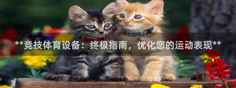 极悦娱乐登录拒绝访问怎么办理：**竞技体育设备：终极