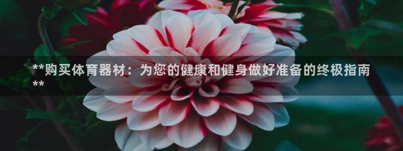 极悦平台和蓝狮平台区别：**购买体育器材：为您的健康