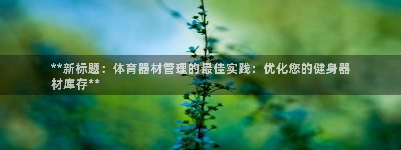 极悦平台注册用户名格式错误：**新标题：体育器材管理