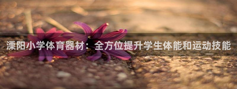 极悦平台官网登录不了了：溧阳小学体育器材：全方位提升