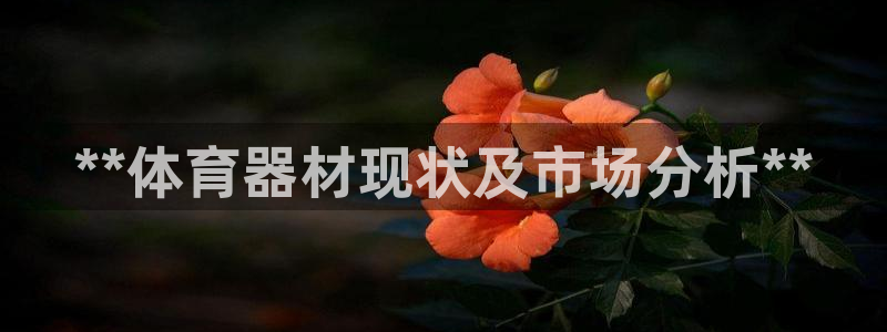 极悦平台基7O777：**体育器材现状及市场分析**