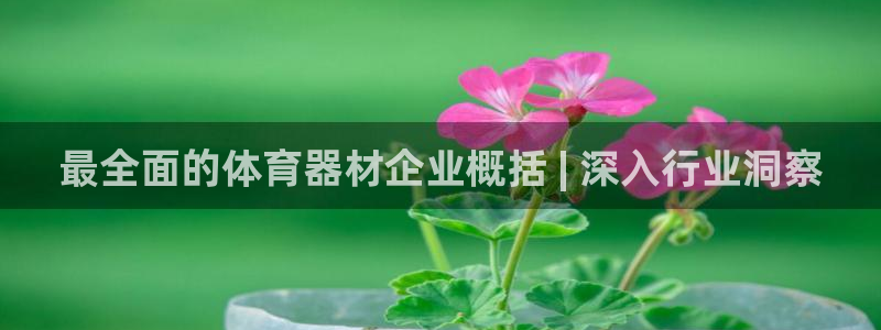 极悦平台登录方式怎么改：最全面的体育器材企业概括 |