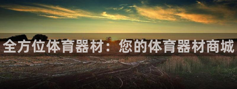 极悦娱乐最新版本更新内容分享：全方位体育器材：您的体