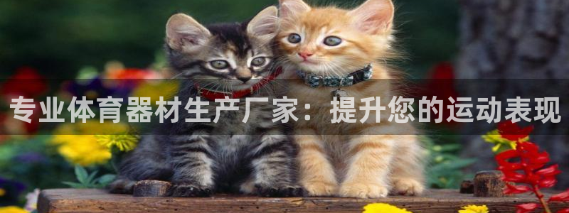 极悦官方网站：专业体育器材生产厂家：提升您的运动表现